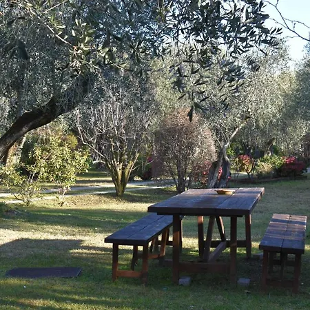 Casa Ulivo Montinelle