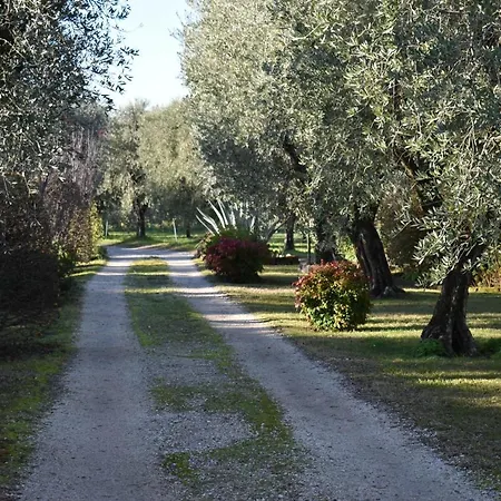 Casa vacanze Casa Ulivo *