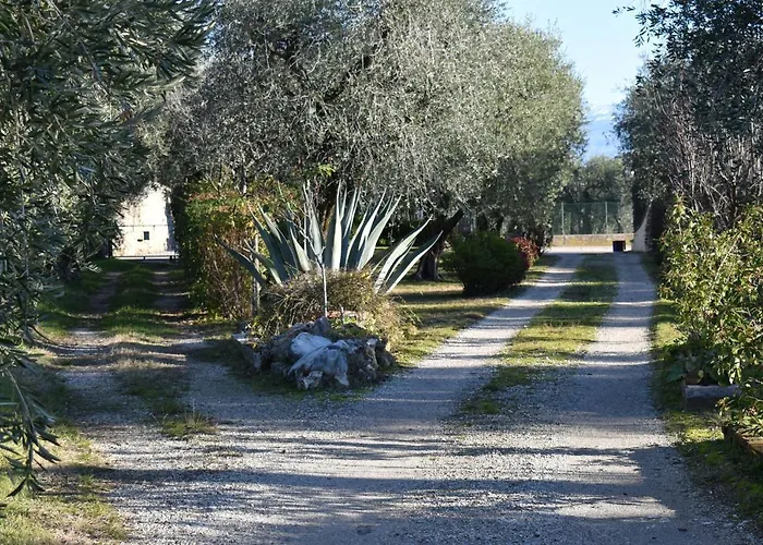 Casa Ulivo * Montinelle