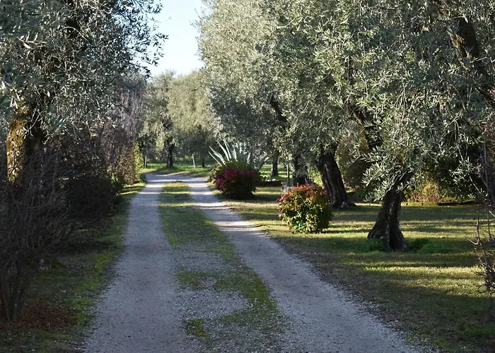 Feriehus Casa Ulivo *