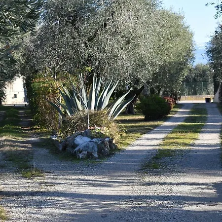 Casa Ulivo * Montinelle