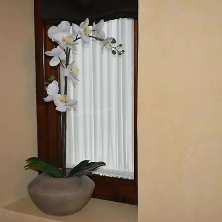 Casa Ulivo *